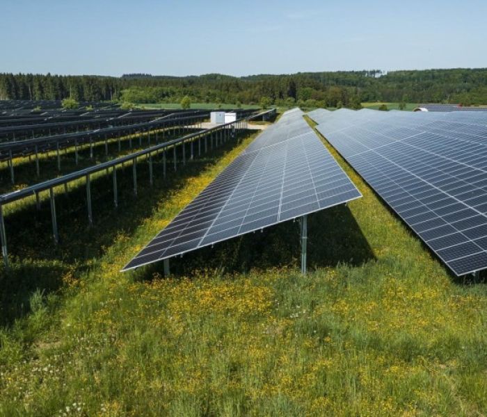 EnBW Solarpark Langenenslingen (Foto: EnBW Energie Baden-Württemberg AG Paul Gärtner)